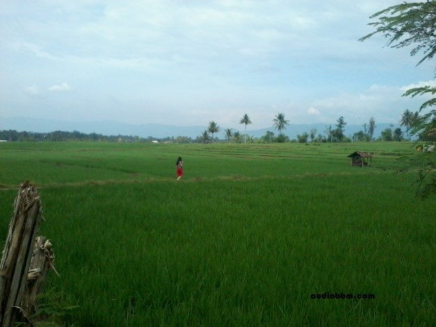 Somewhere in Cianjur