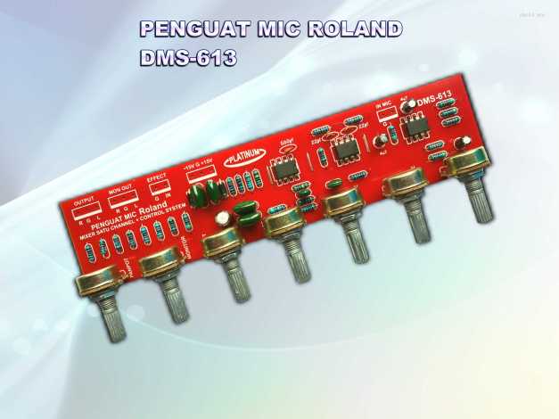 PENGUAT MIC ROLAND DMS-613